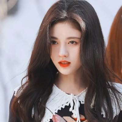 睡觉的笨蛋